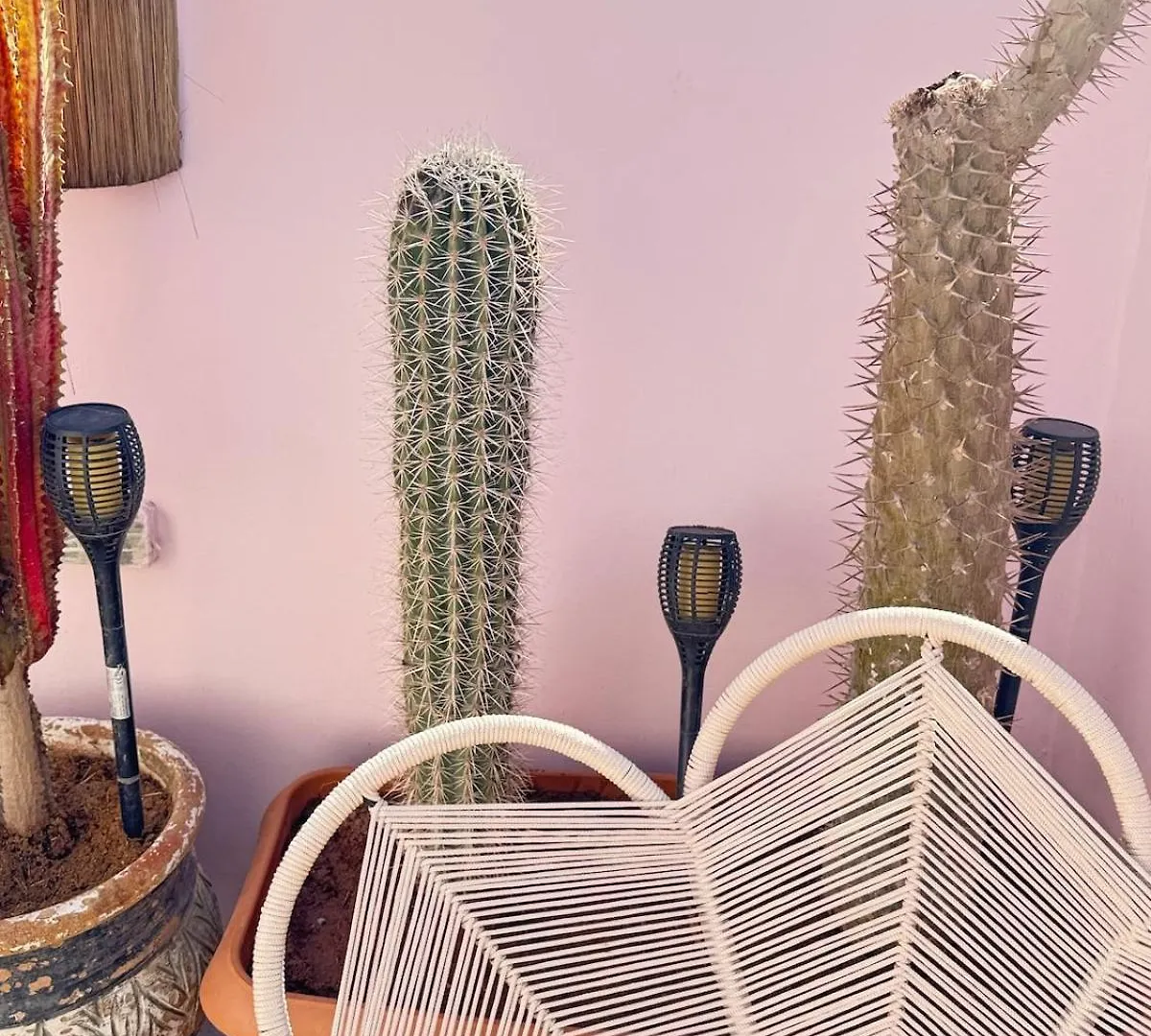 Riad Doll Marrakesh Holiday home